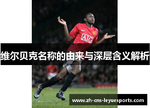 维尔贝克名称的由来与深层含义解析