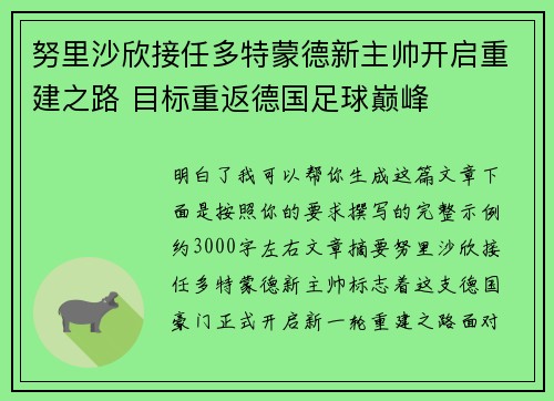 努里沙欣接任多特蒙德新主帅开启重建之路 目标重返德国足球巅峰